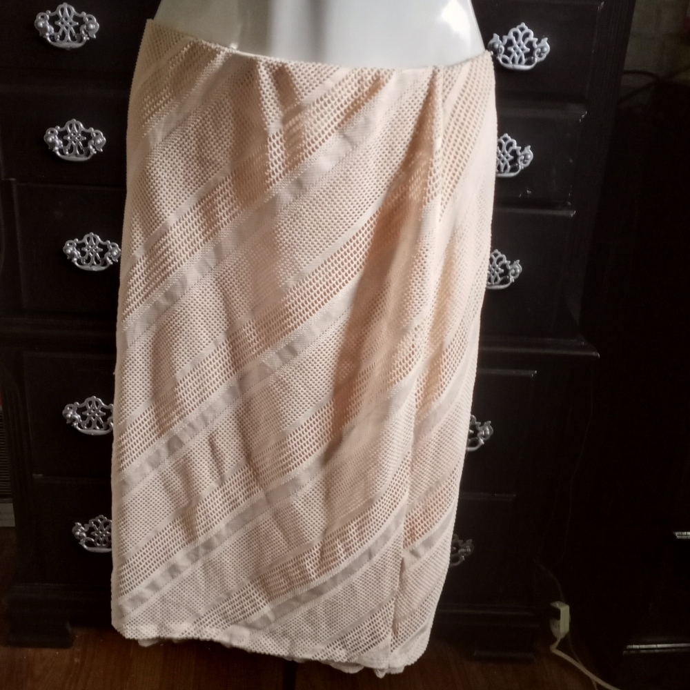 Straight Beige Mesh Midi Skirt/w Slip